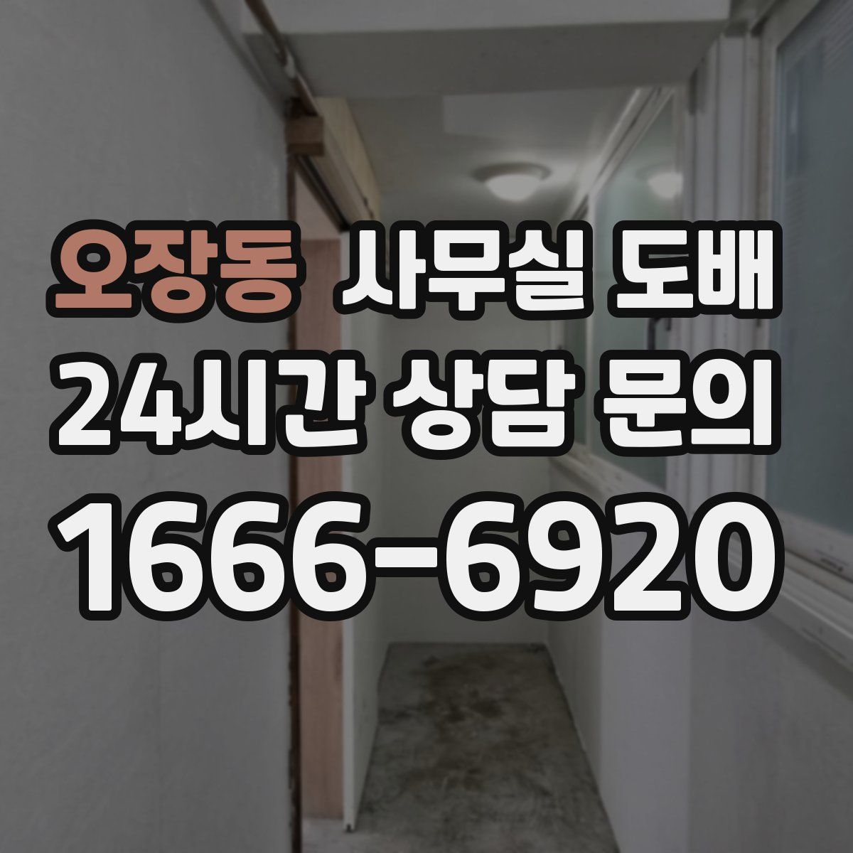 오장동 사무실 도배
