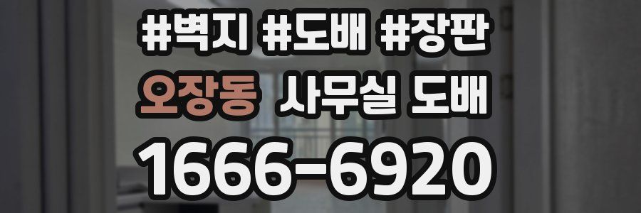 오장동 사무실 도배