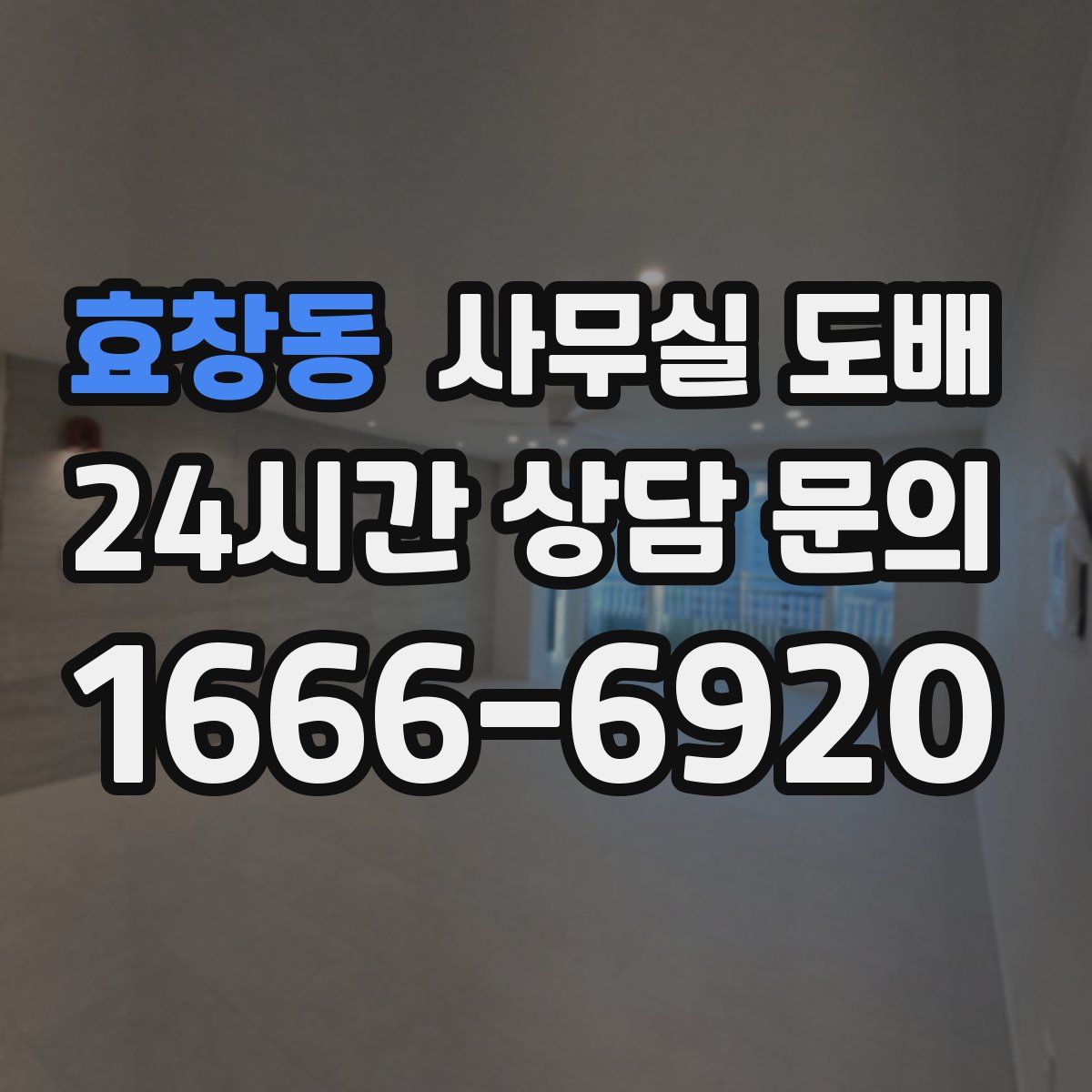 효창동 사무실 도배