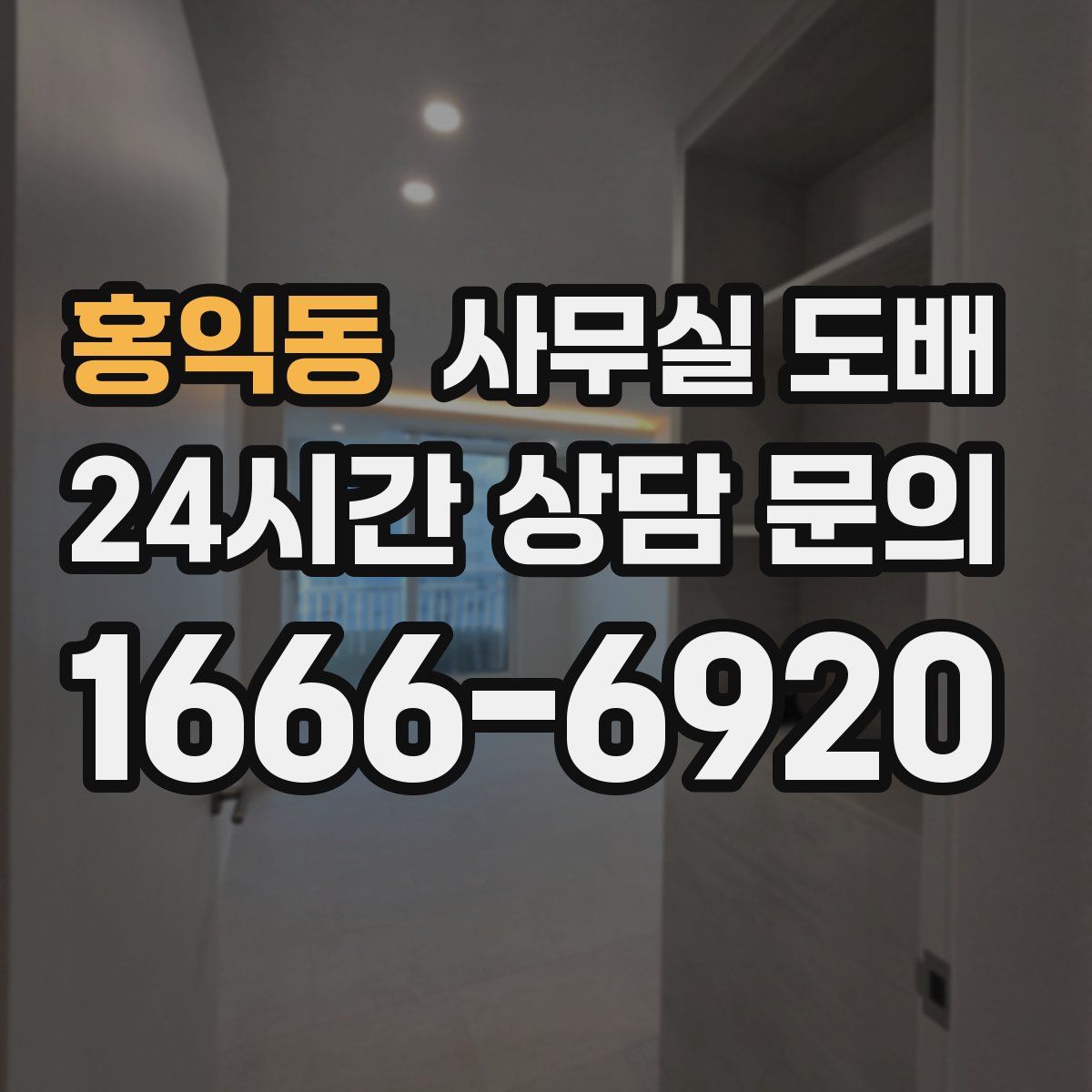 홍익동 사무실 도배
