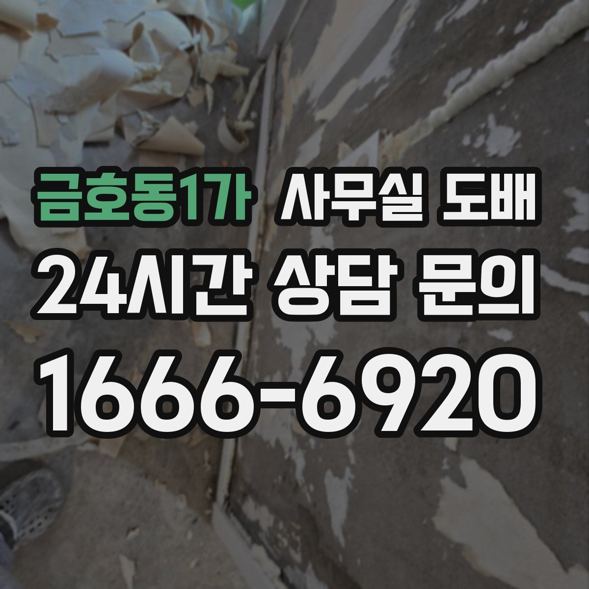 금호동1가 사무실 도배