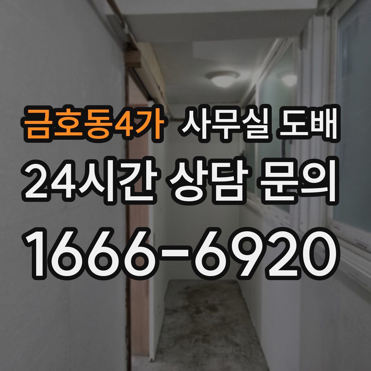 금호동4가 사무실 도배