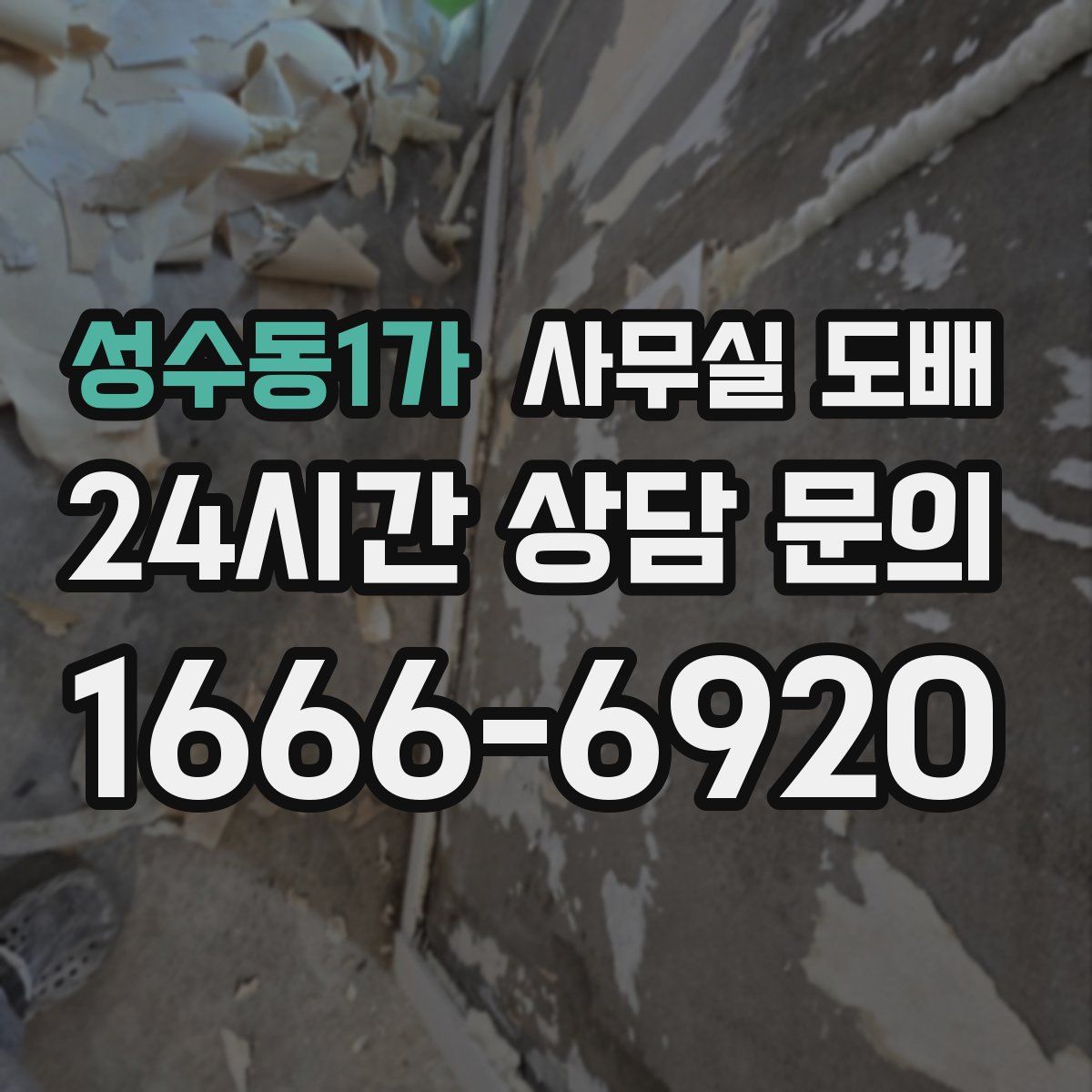 성수동1가 사무실 도배