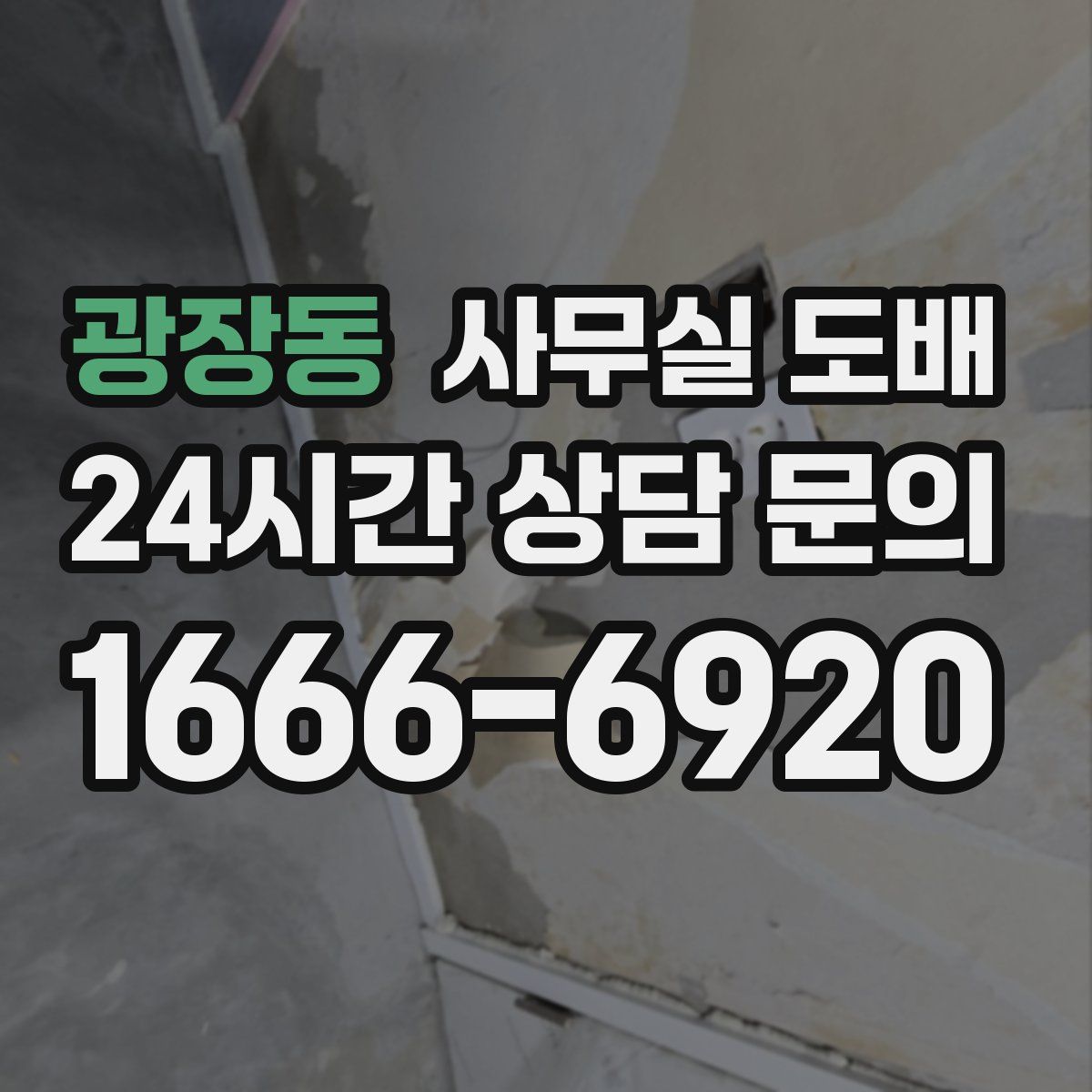 광장동 사무실 도배