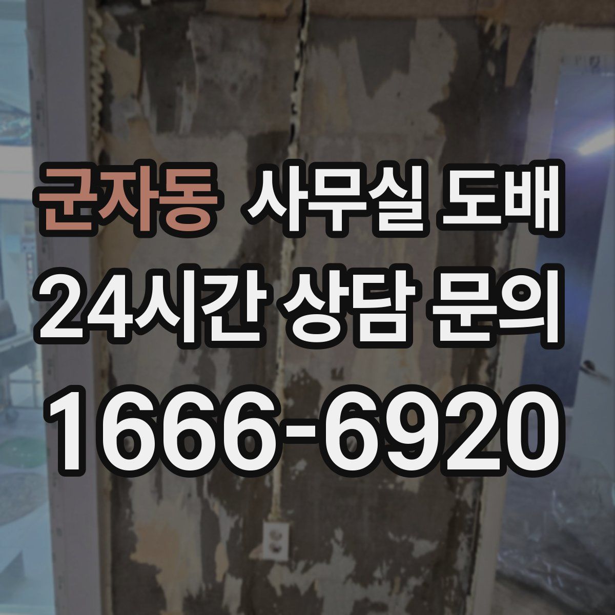 군자동 사무실 도배