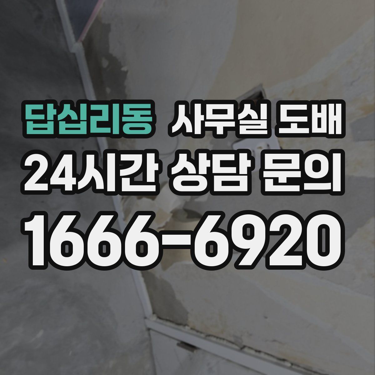 답십리동 사무실 도배