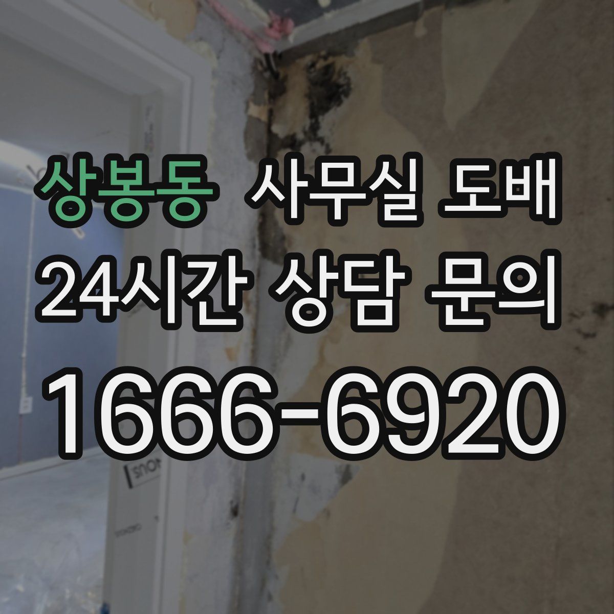 상봉동 사무실 도배