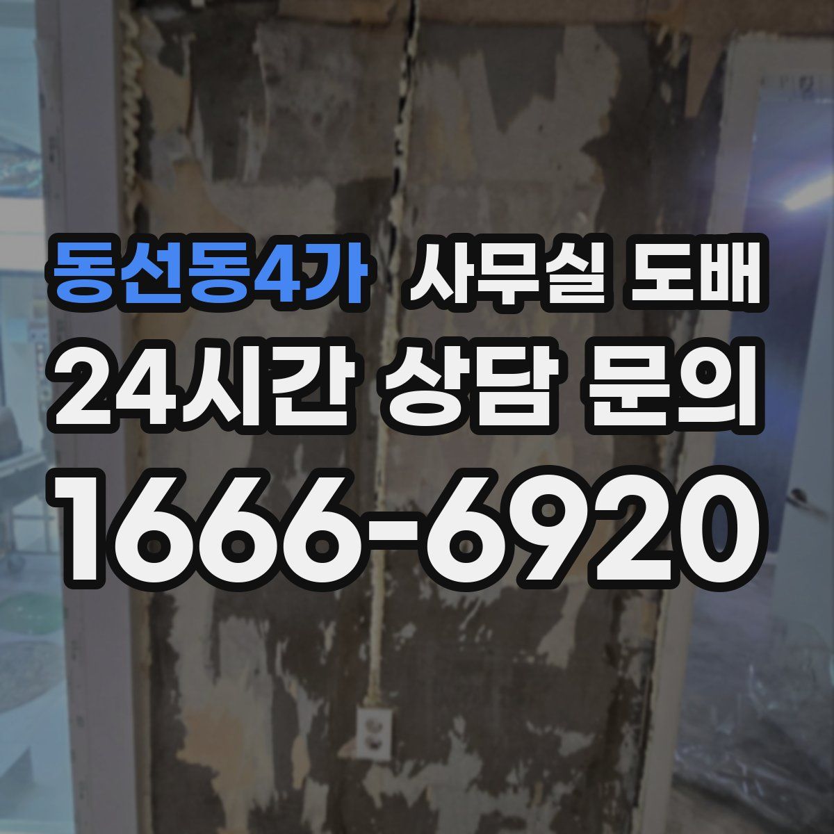 동선동4가 사무실 도배