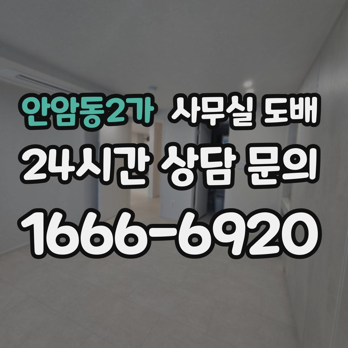안암동2가 사무실 도배
