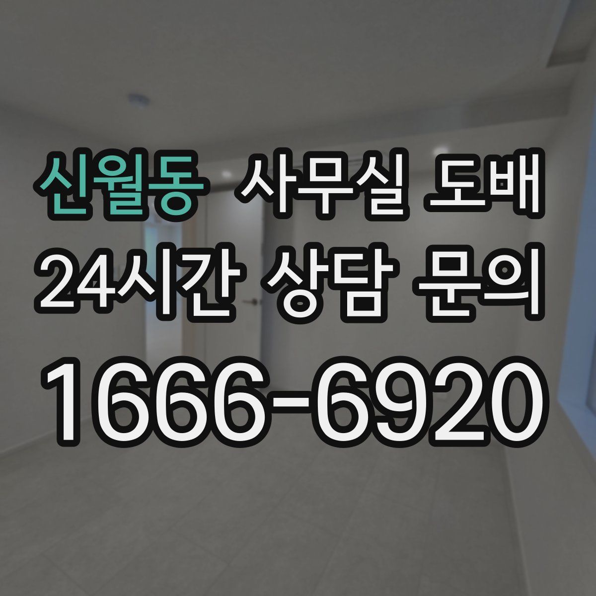 신월동 사무실 도배