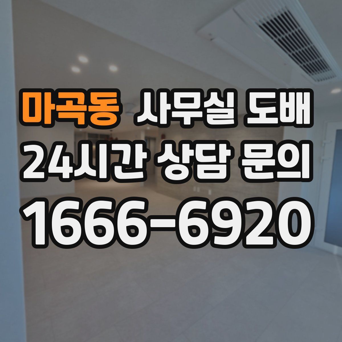 마곡동 사무실 도배