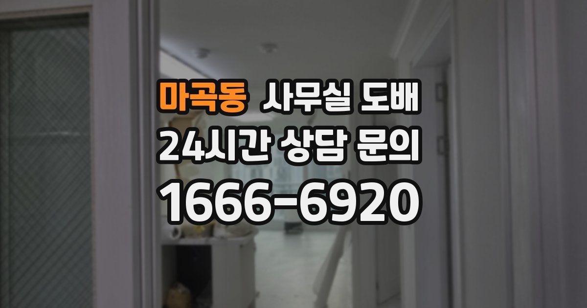 마곡동 사무실 도배