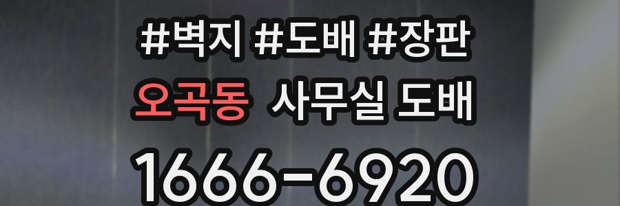 오곡동 사무실 도배