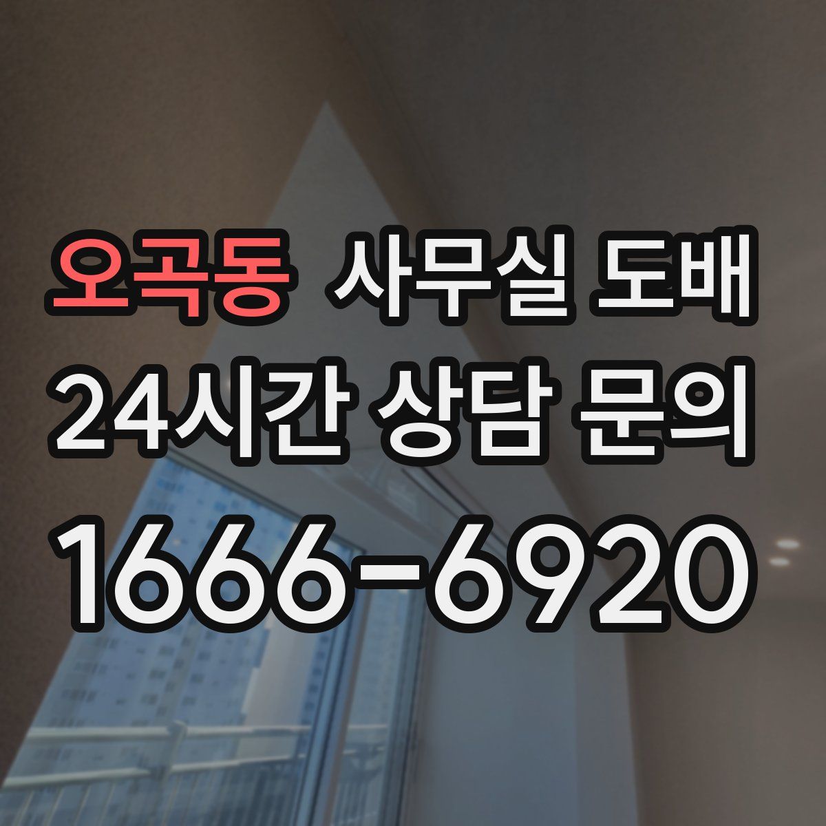 오곡동 사무실 도배