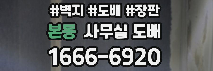 본동 사무실 도배