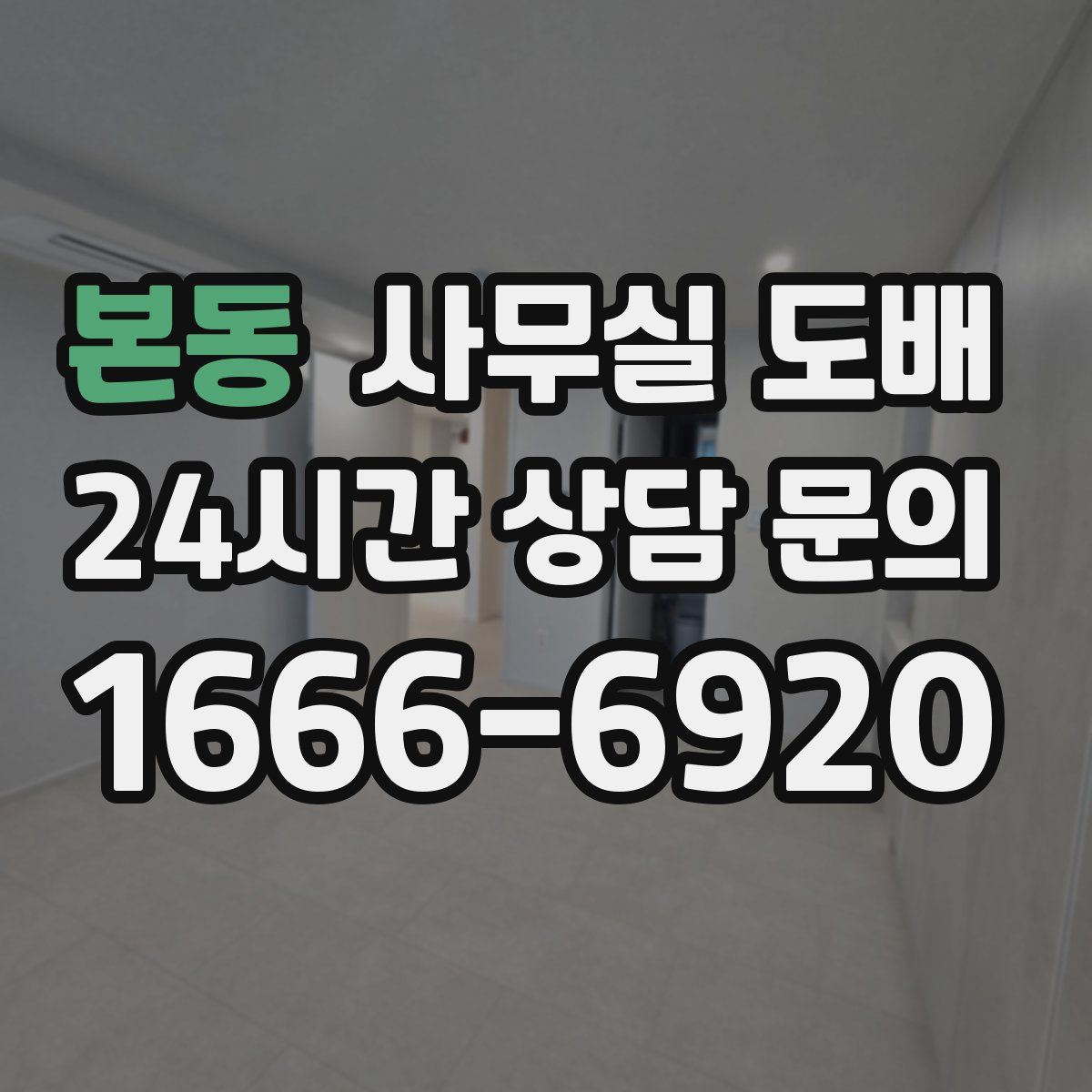 본동 사무실 도배