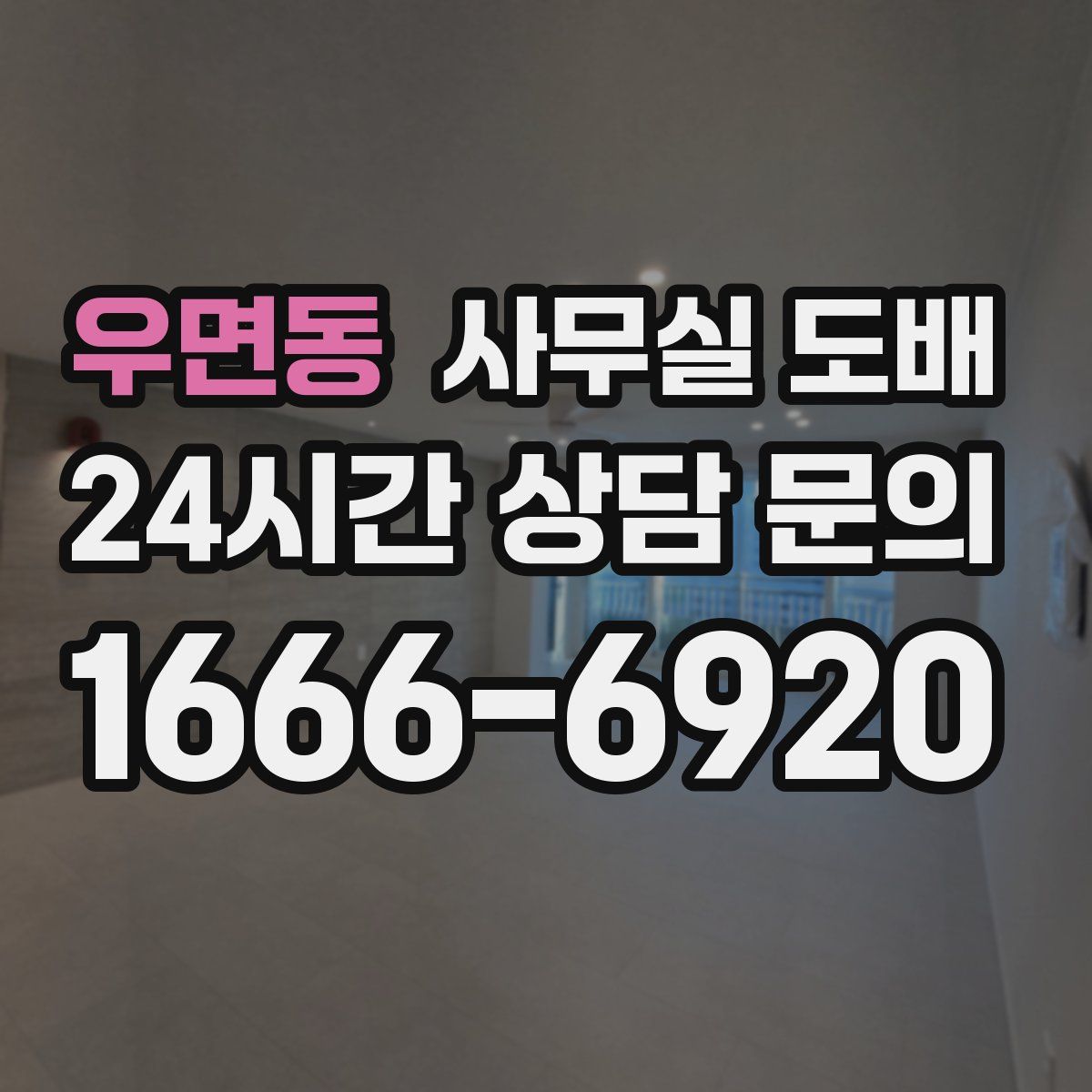우면동 사무실 도배