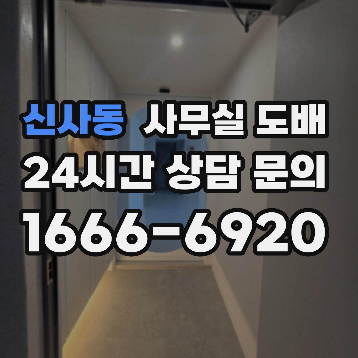 신사동 사무실 도배