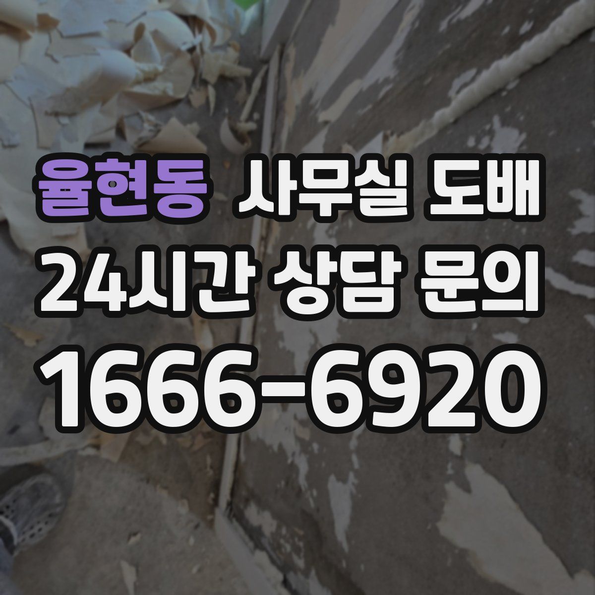 율현동 사무실 도배