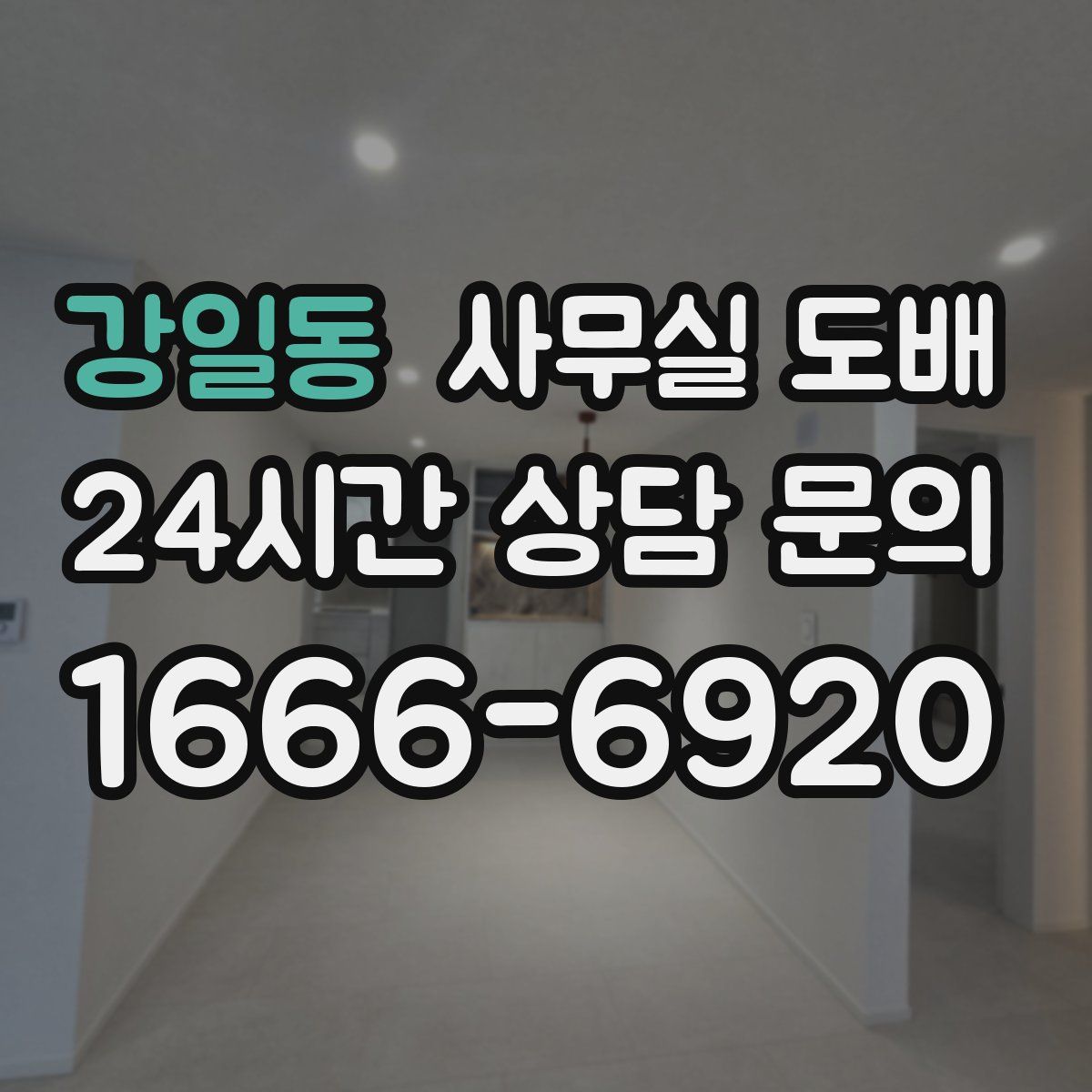 강일동 사무실 도배