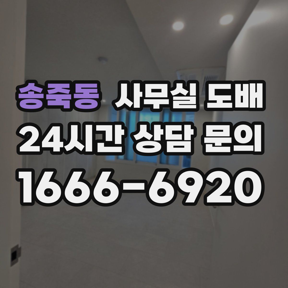송죽동 사무실 도배
