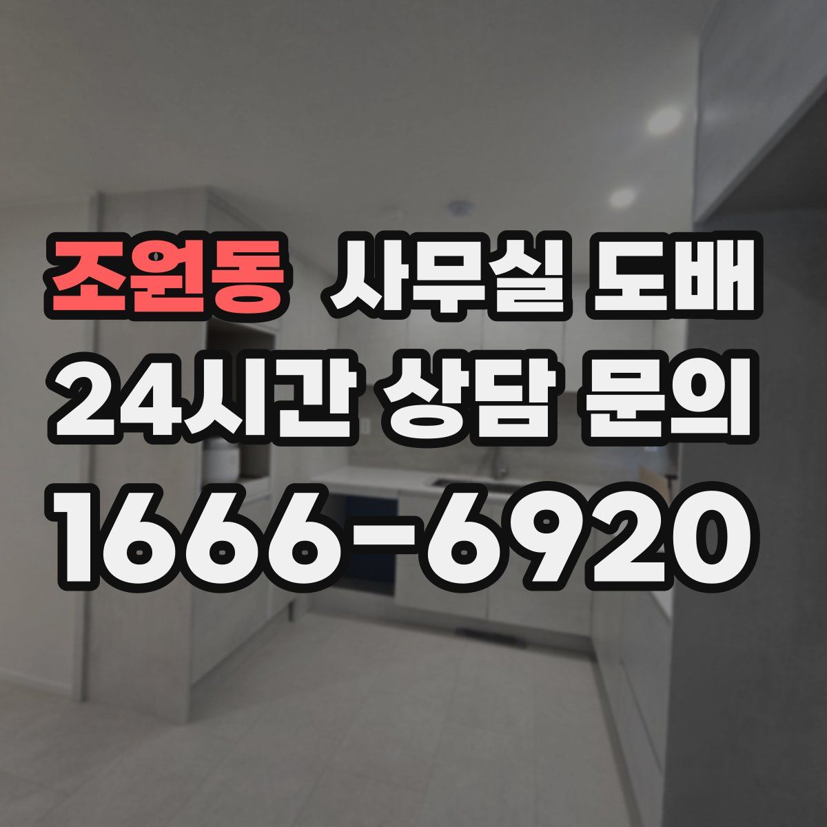 조원동 사무실 도배