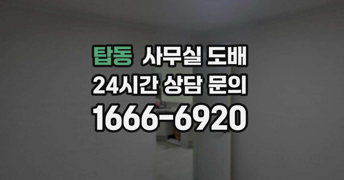 탑동 사무실 도배
