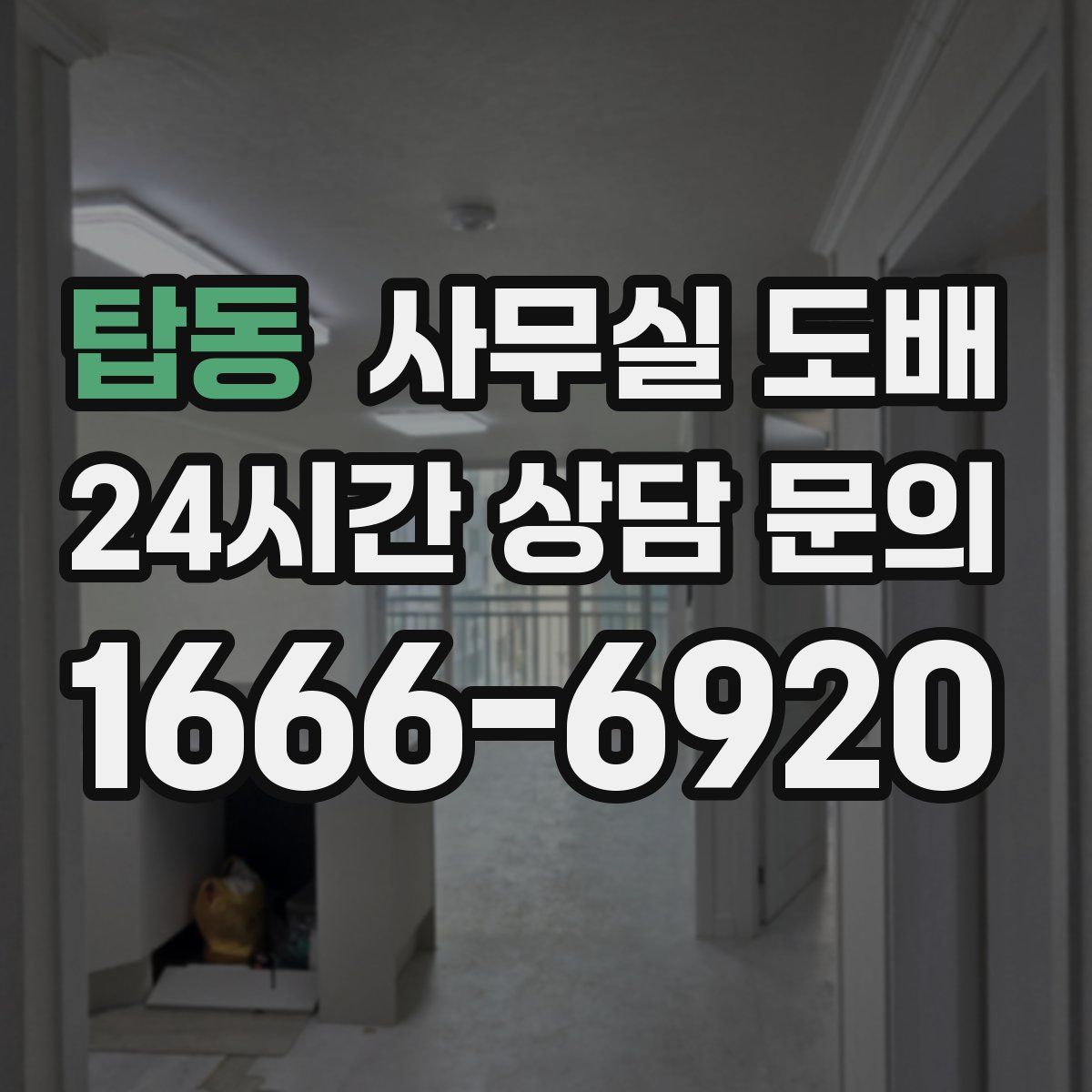 탑동 사무실 도배