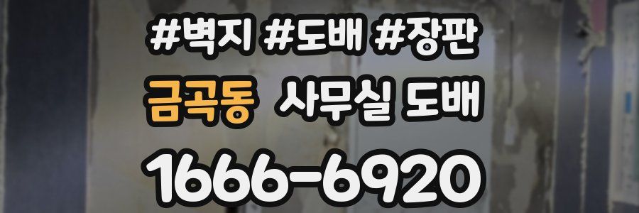 금곡동 사무실 도배