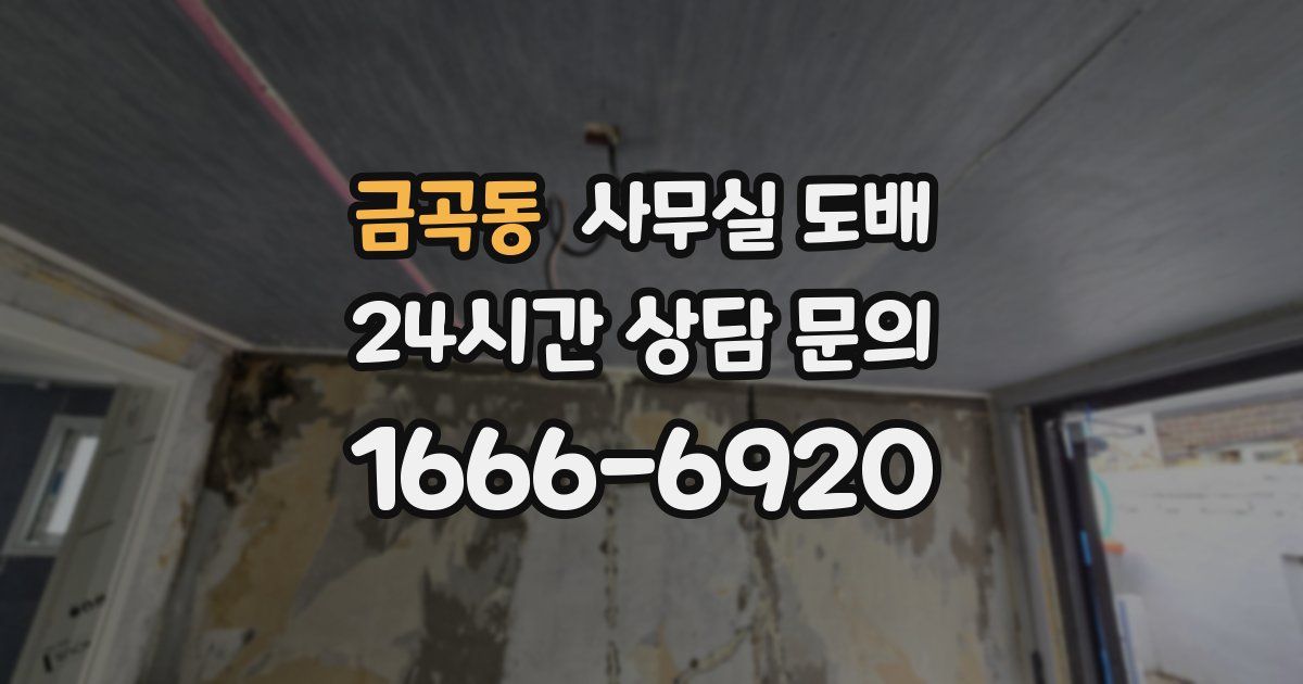 금곡동 사무실 도배