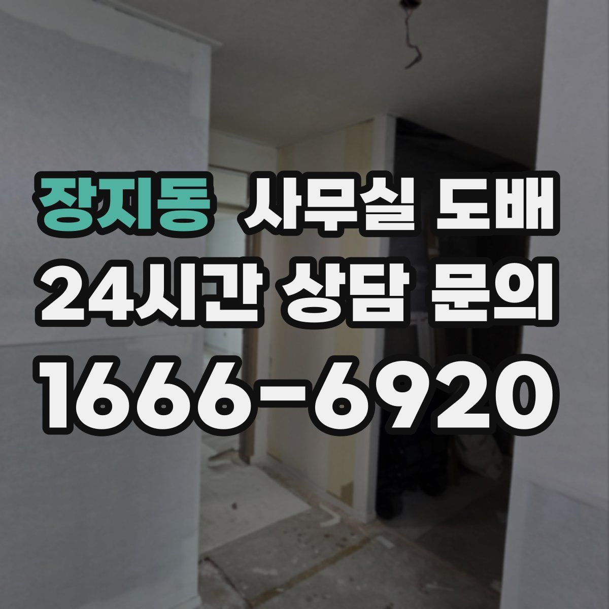 장지동 사무실 도배