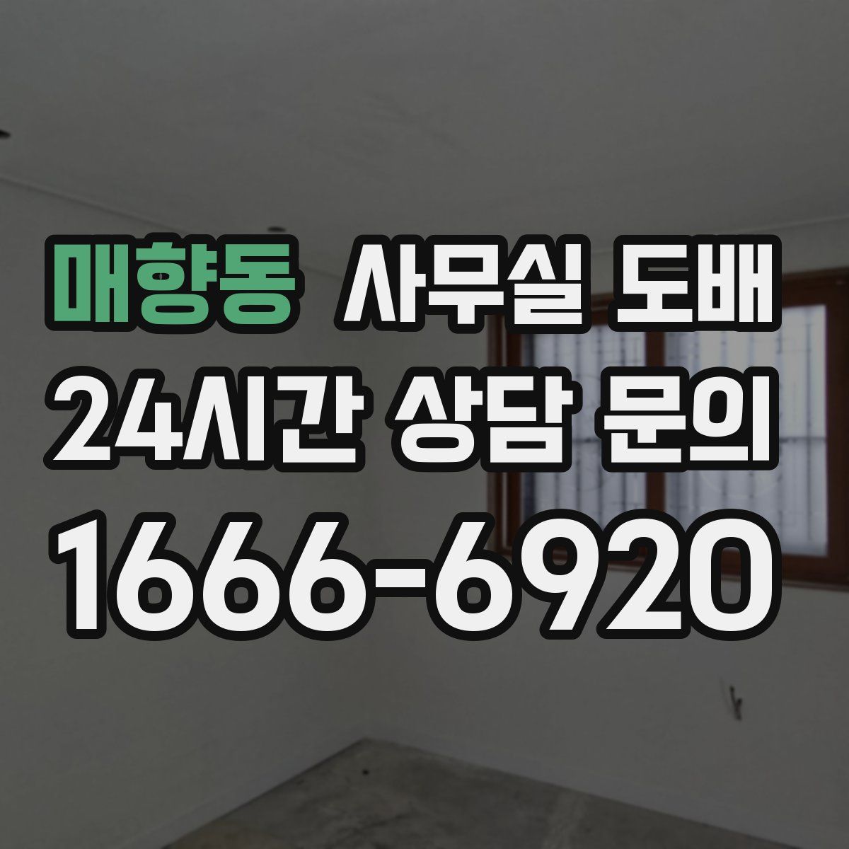 매향동 사무실 도배