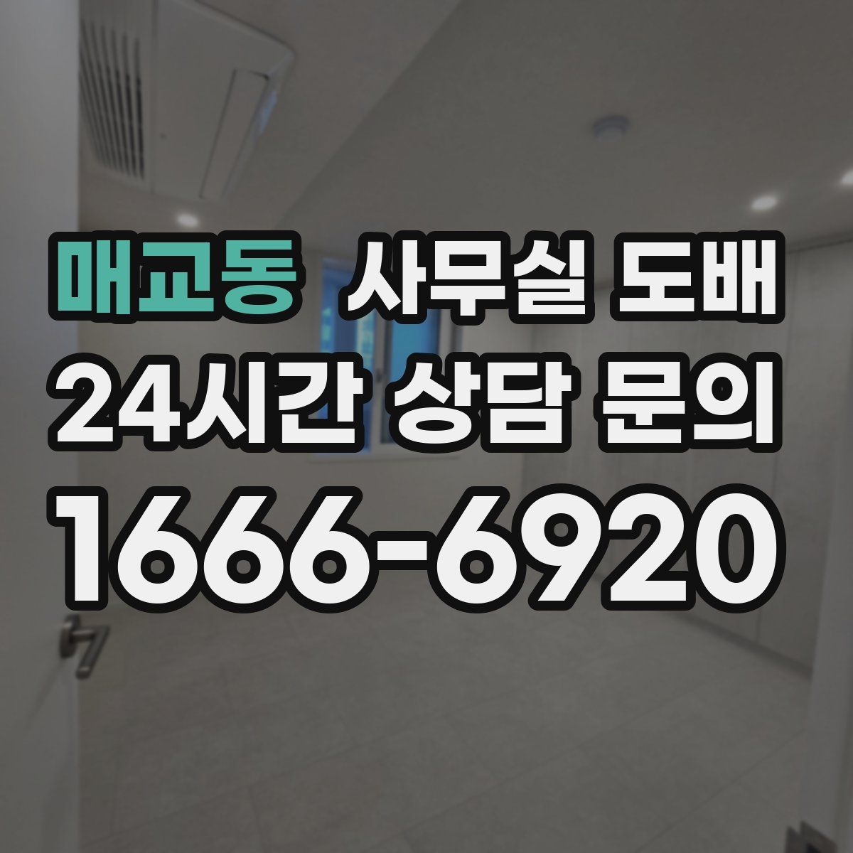 매교동 사무실 도배