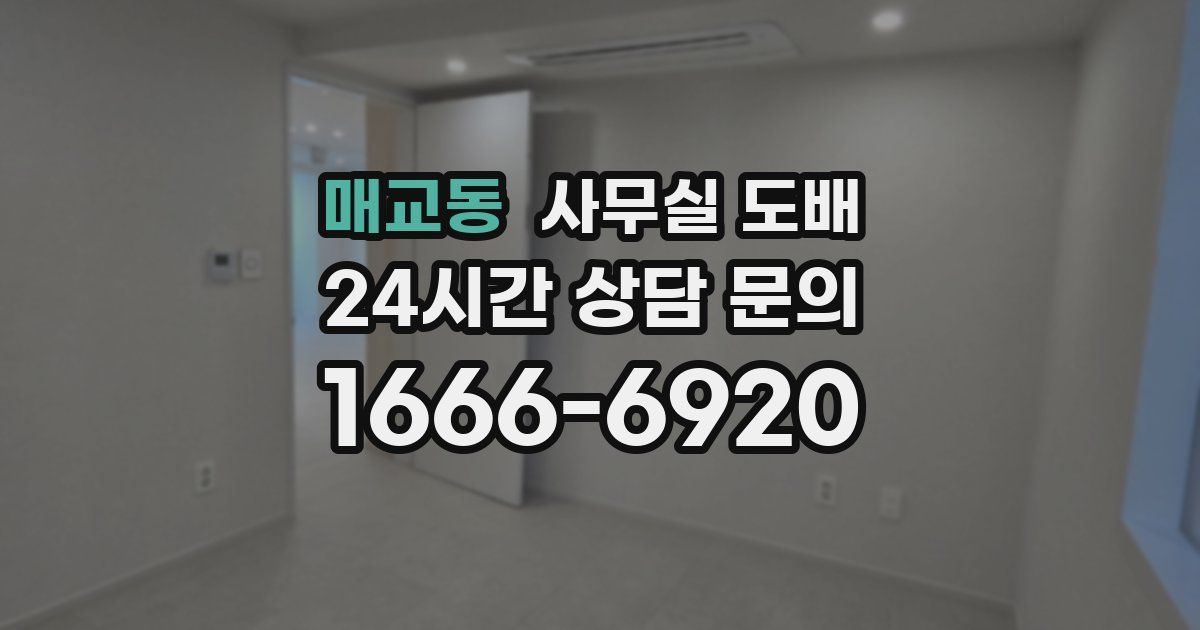 매교동 사무실 도배