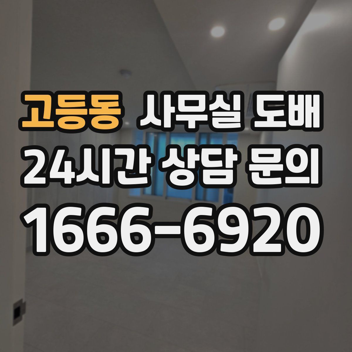 고등동 사무실 도배
