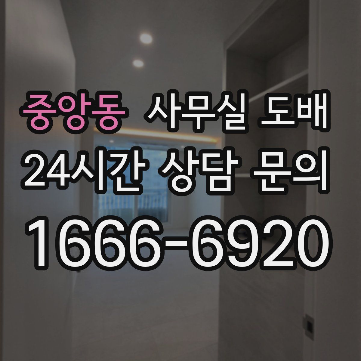 중앙동 사무실 도배