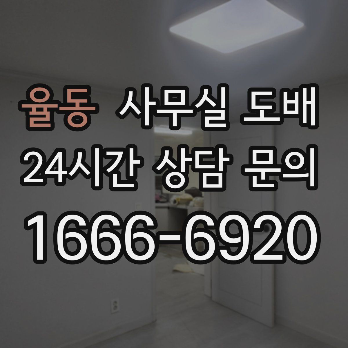 율동 사무실 도배
