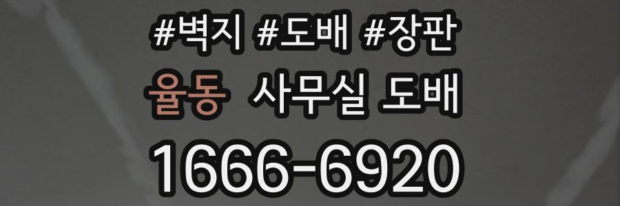 율동 사무실 도배