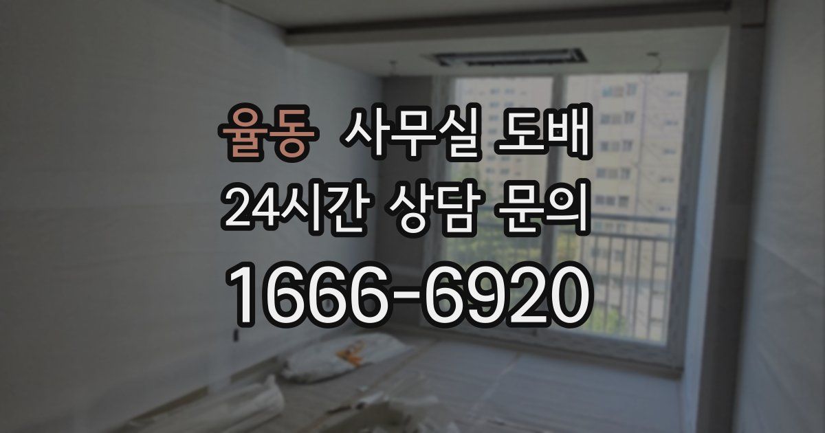 율동 사무실 도배