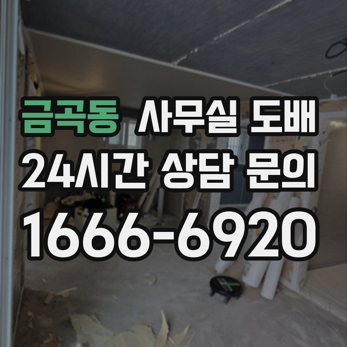 금곡동 사무실 도배