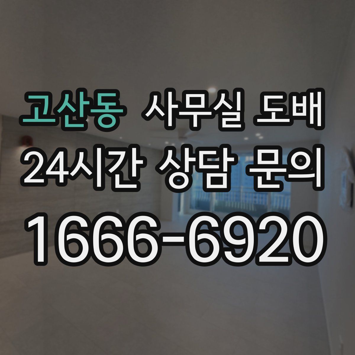 고산동 사무실 도배