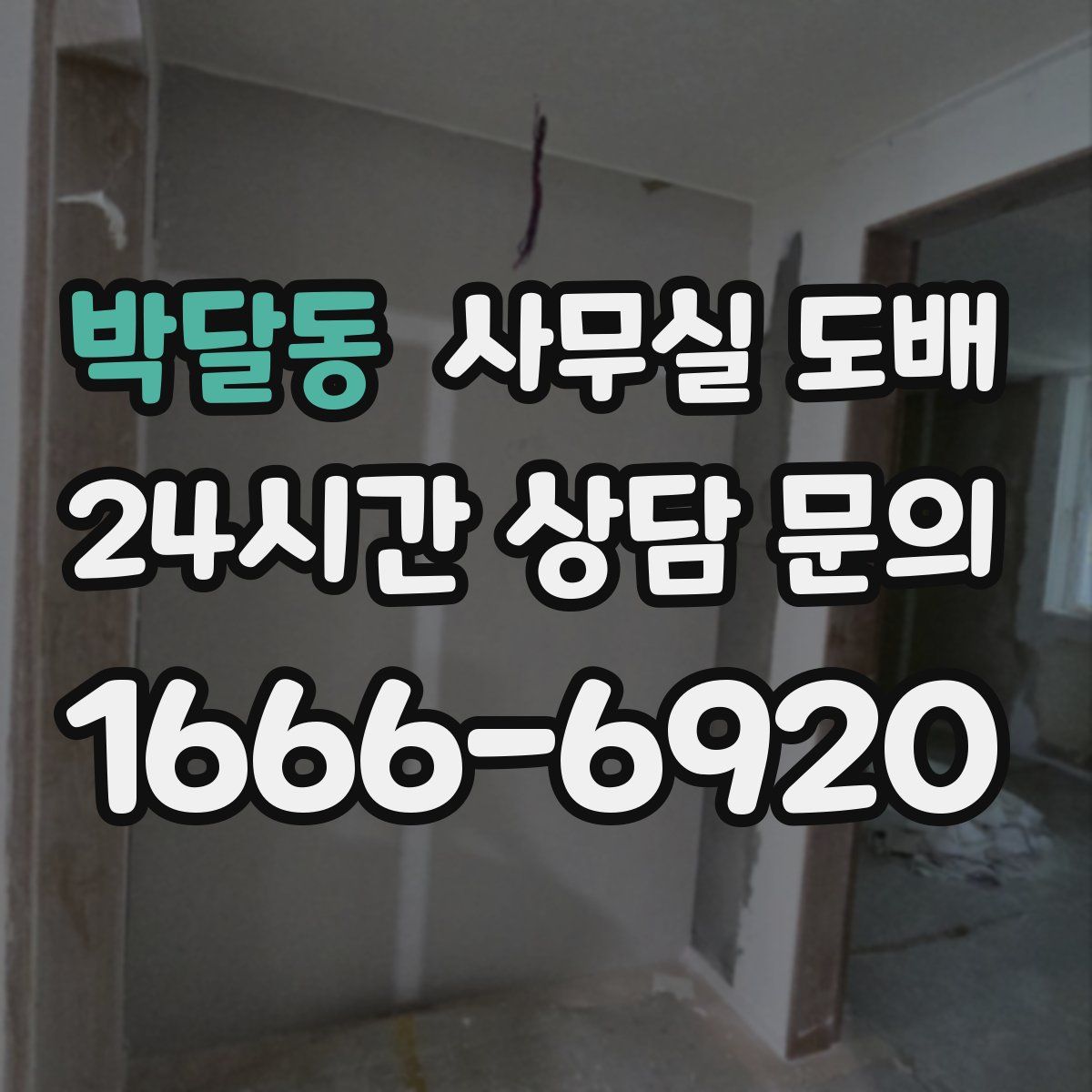 박달동 사무실 도배