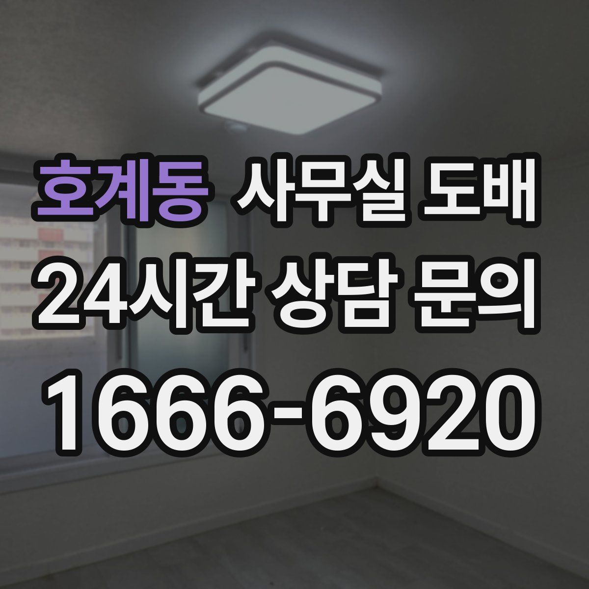 호계동 사무실 도배