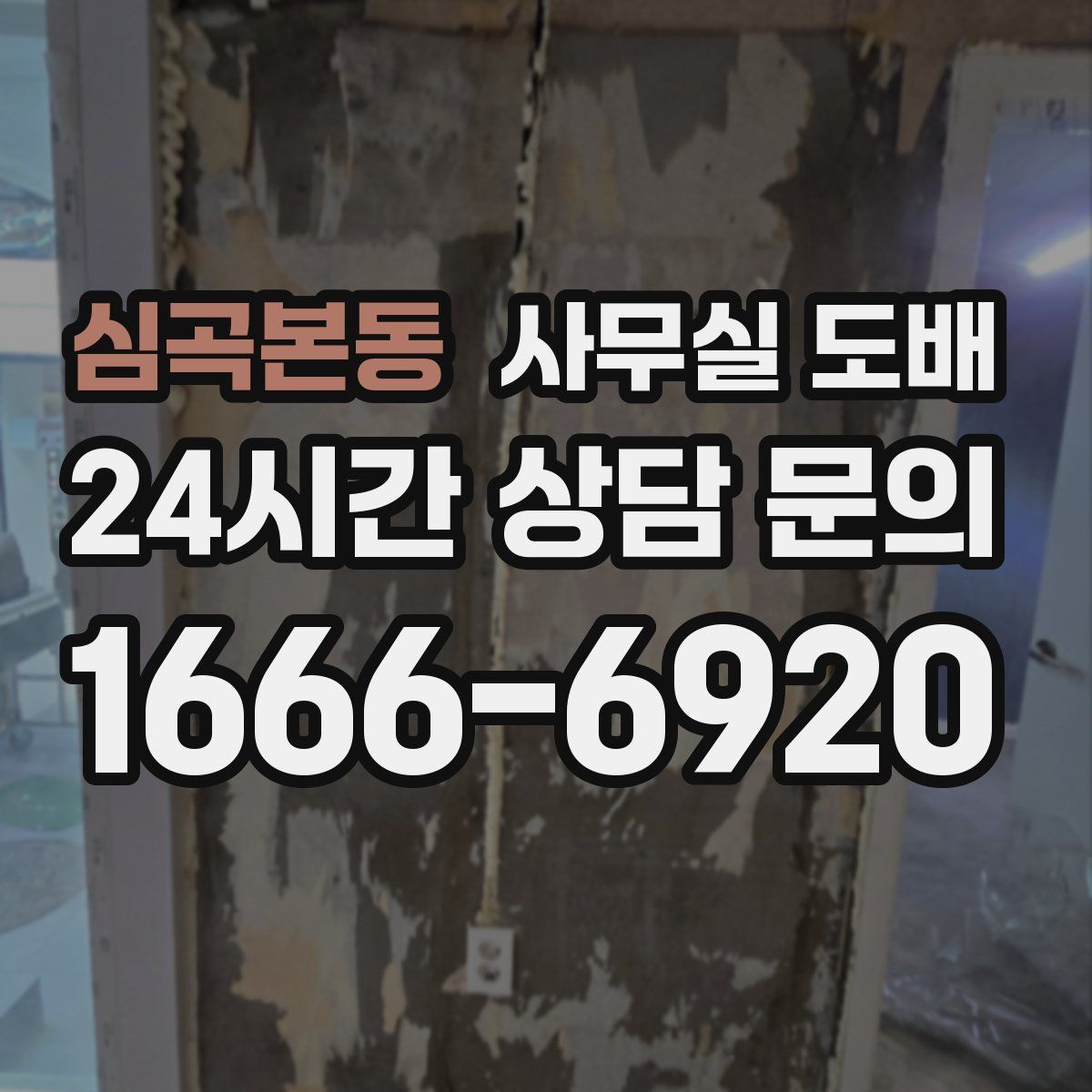 심곡본동 사무실 도배