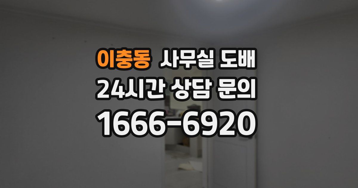 이충동 사무실 도배