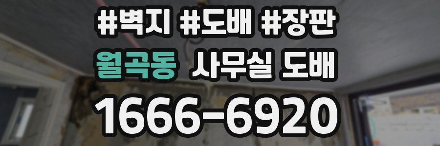 월곡동 사무실 도배
