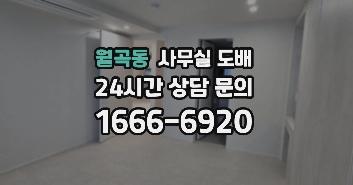 월곡동 사무실 도배