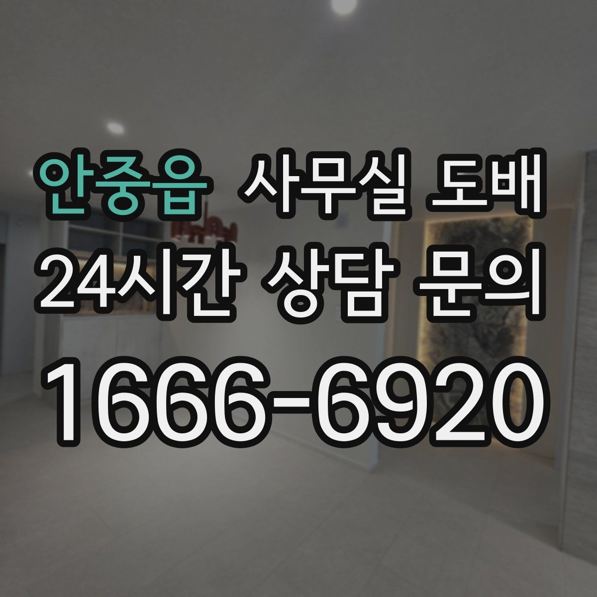 안중읍 사무실 도배