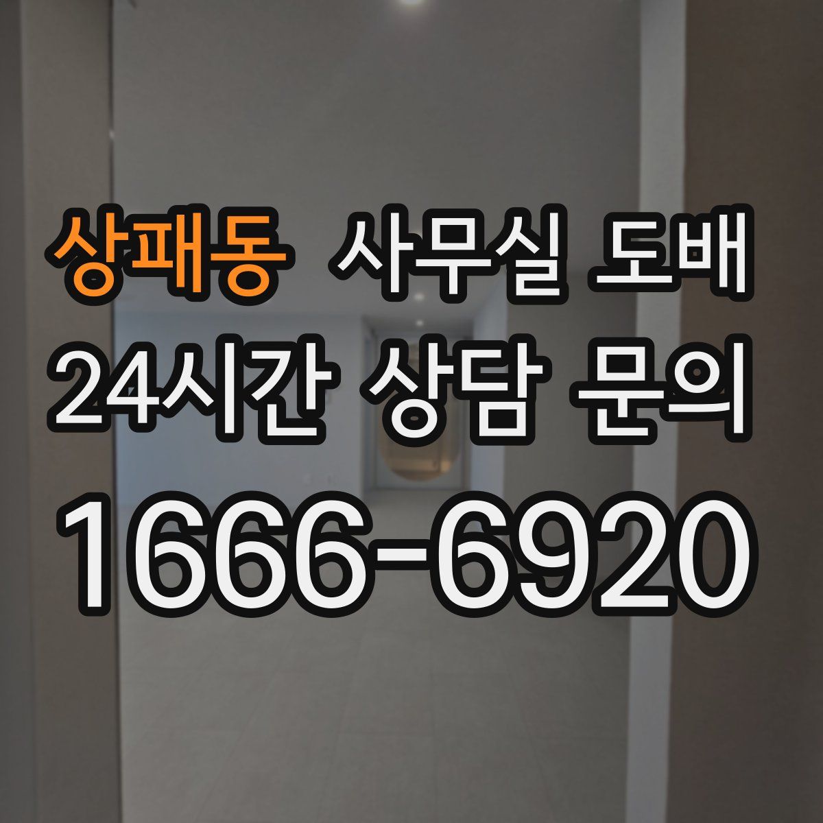 상패동 사무실 도배