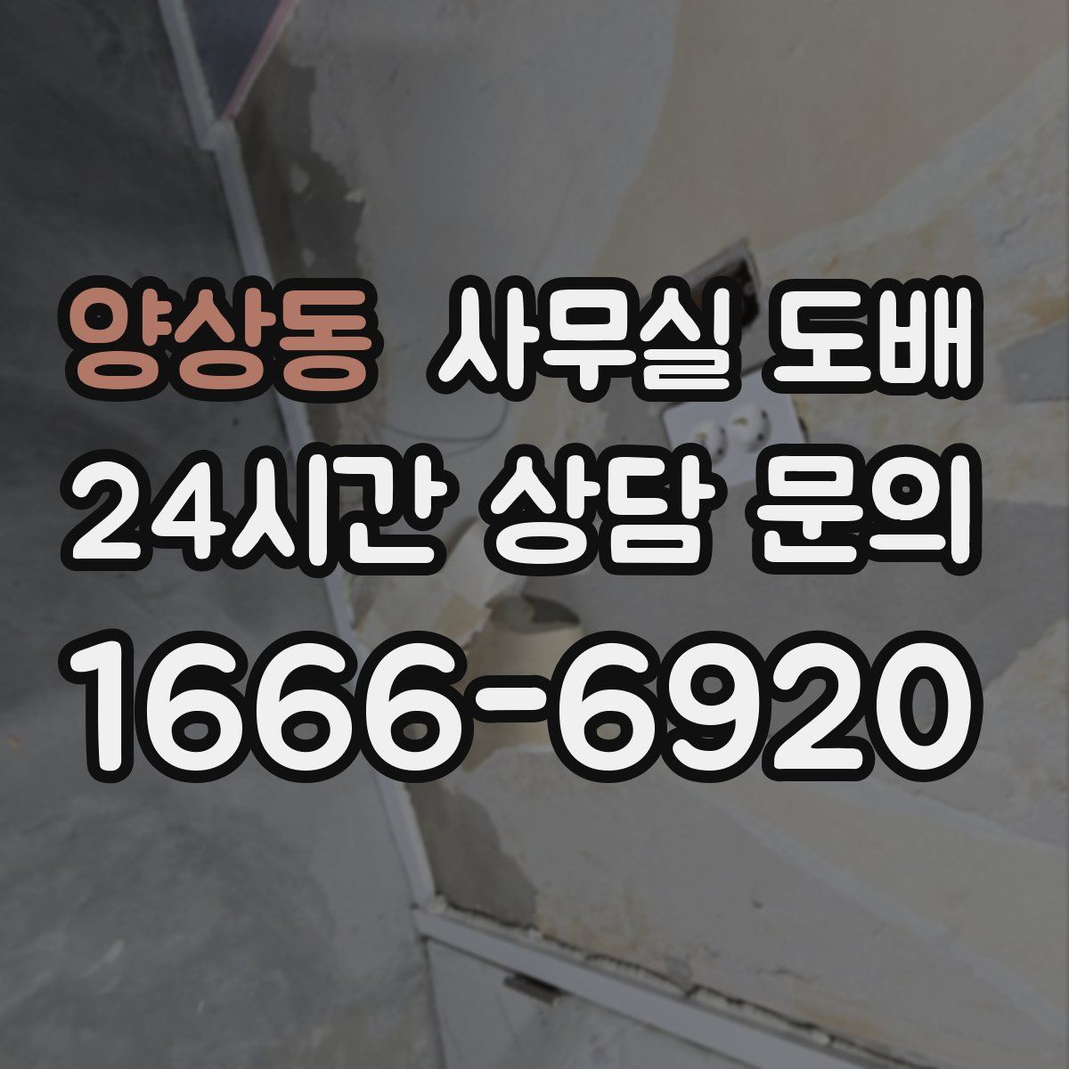 양상동 사무실 도배